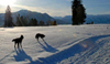 Winterwandern