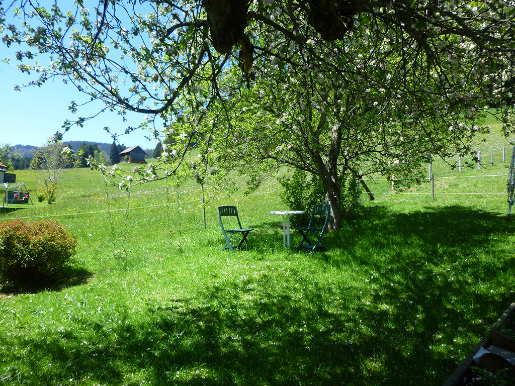 Frühling in Unterstein