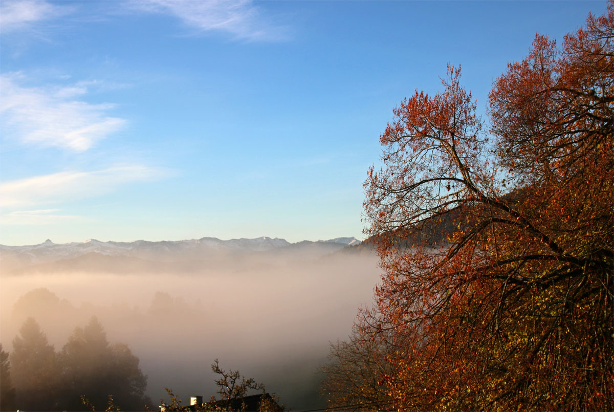 Herrliche Herbststimmung