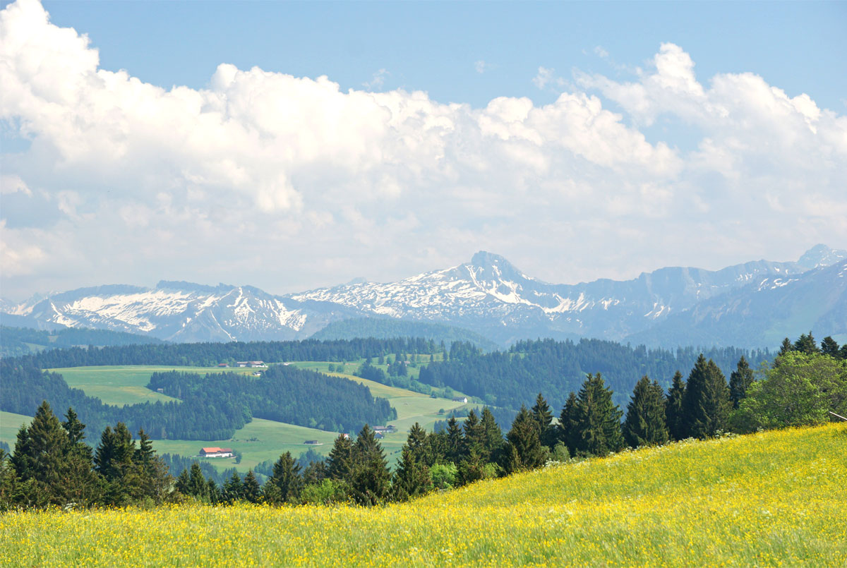Scheidegger Landschaft