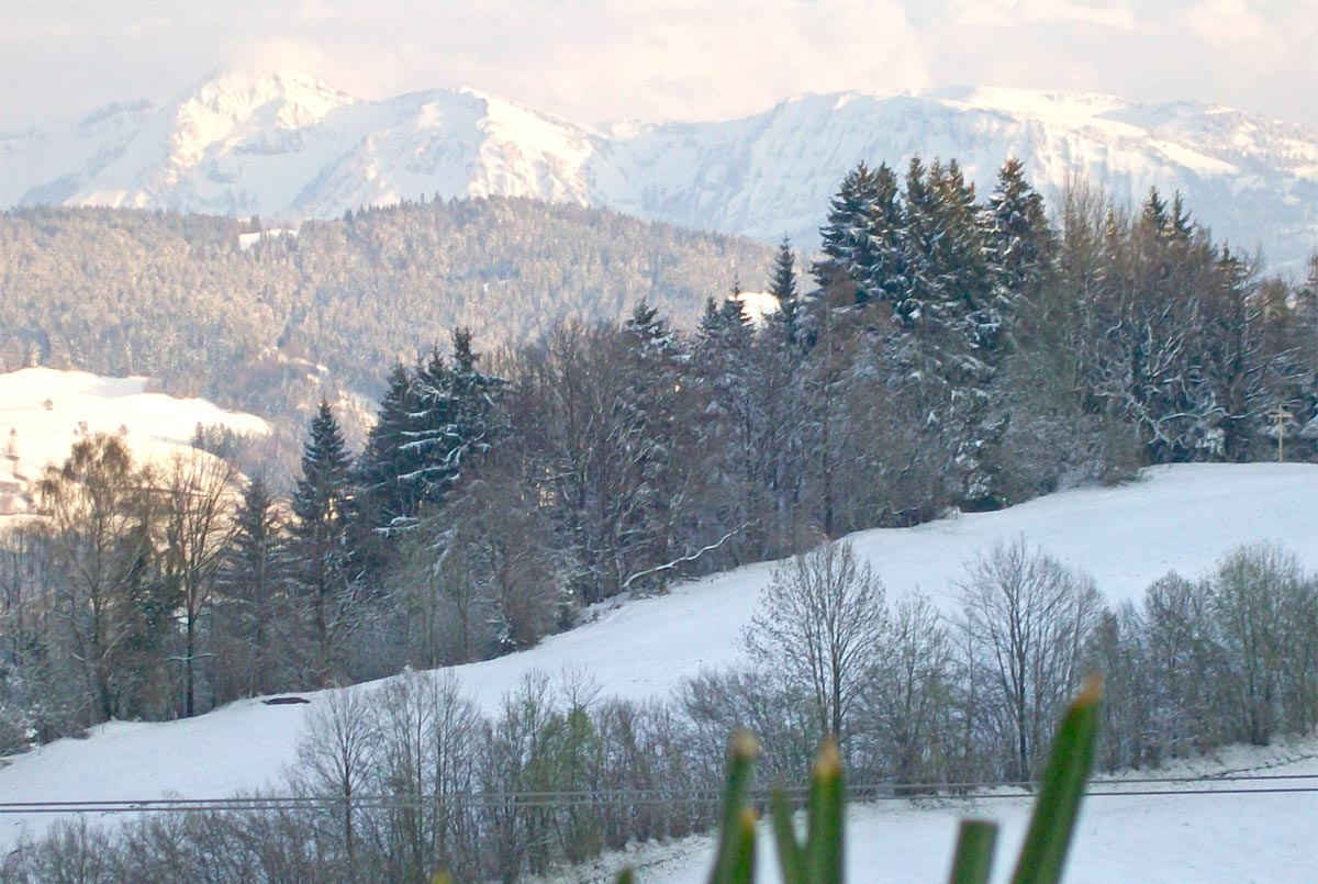 Bergsicht